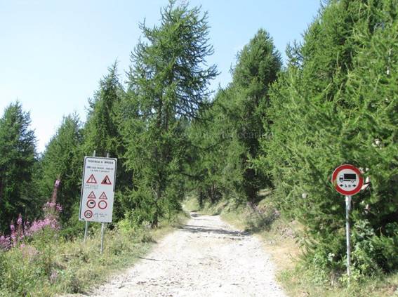 09.jpg