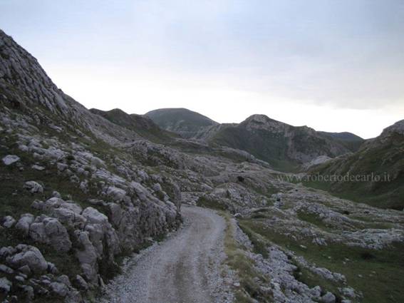 90.jpg