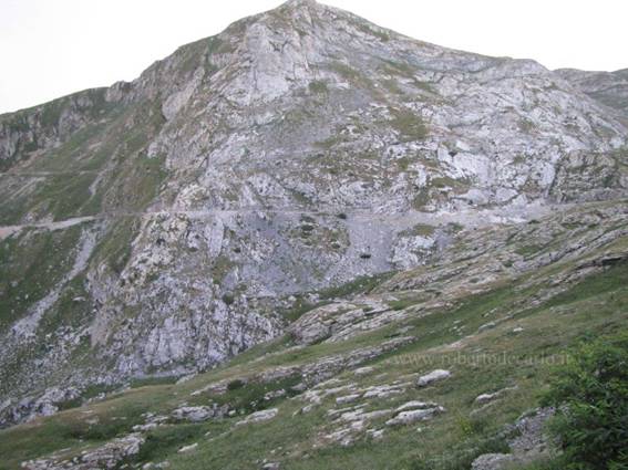 96.jpg