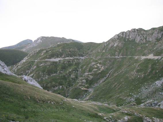 97.jpg